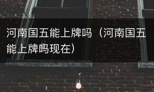 河南国五能上牌吗（河南国五能上牌吗现在）