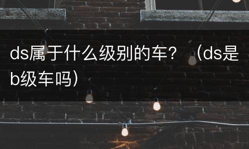 ds属于什么级别的车？（ds是b级车吗）