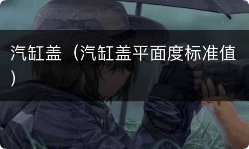 汽缸盖（汽缸盖平面度标准值）