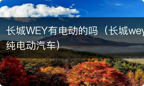 长城WEY有电动的吗（长城wey纯电动汽车）