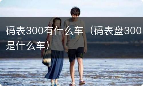 码表300有什么车（码表盘300是什么车）