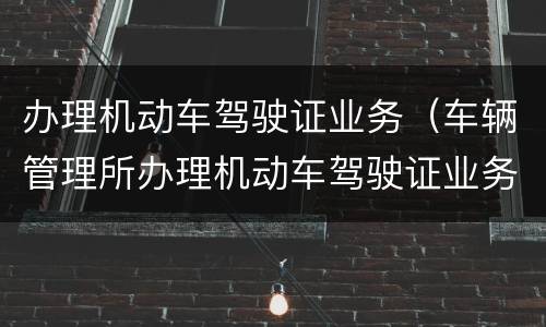 办理机动车驾驶证业务（车辆管理所办理机动车驾驶证业务）