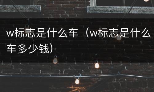 w标志是什么车（w标志是什么车多少钱）