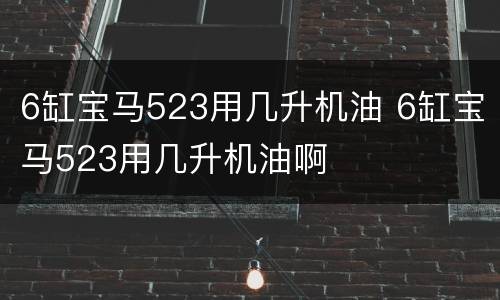 6缸宝马523用几升机油 6缸宝马523用几升机油啊