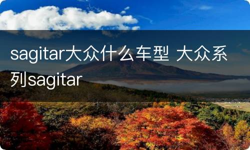 sagitar大众什么车型 大众系列sagitar