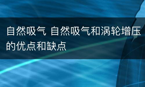 自然吸气 自然吸气和涡轮增压的优点和缺点