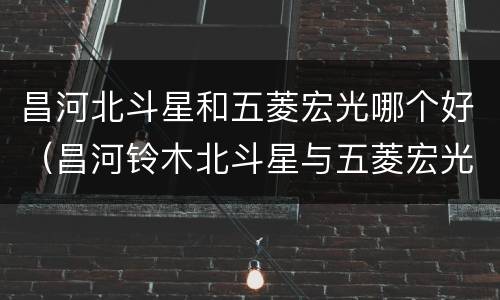昌河北斗星和五菱宏光哪个好（昌河铃木北斗星与五菱宏光的本质区别）