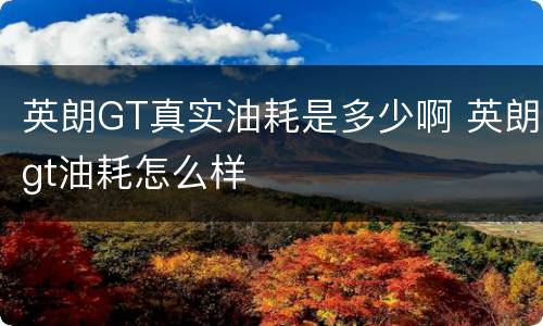 英朗GT真实油耗是多少啊 英朗gt油耗怎么样