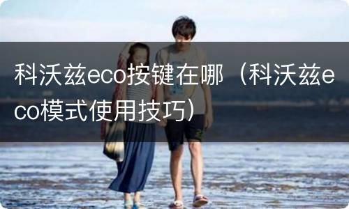 科沃兹eco按键在哪（科沃兹eco模式使用技巧）