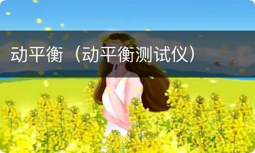 动平衡（动平衡测试仪）