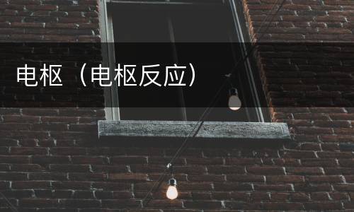 电枢（电枢反应）