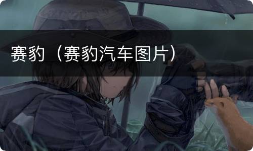 赛豹（赛豹汽车图片）