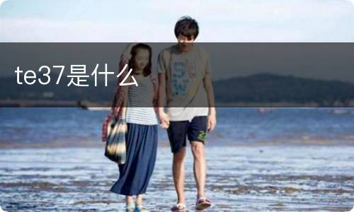 te37是什么