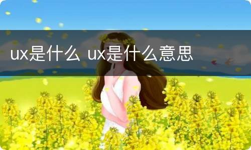 ux是什么 ux是什么意思
