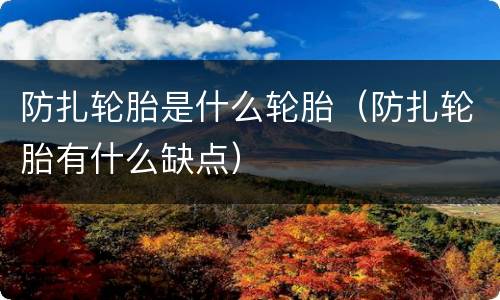 防扎轮胎是什么轮胎（防扎轮胎有什么缺点）
