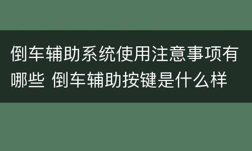 倒车辅助系统使用注意事项有哪些 倒车辅助按键是什么样