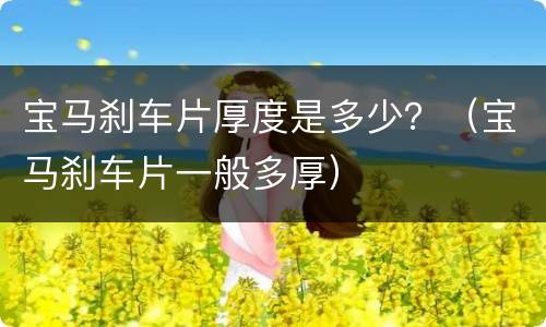 宝马刹车片厚度是多少？（宝马刹车片一般多厚）