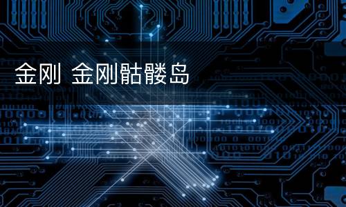 金刚 金刚骷髅岛