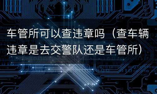 车管所可以查违章吗（查车辆违章是去交警队还是车管所）