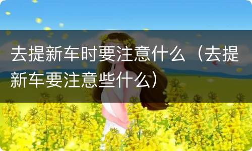 去提新车时要注意什么（去提新车要注意些什么）
