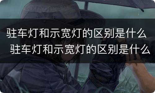 驻车灯和示宽灯的区别是什么 驻车灯和示宽灯的区别是什么图片
