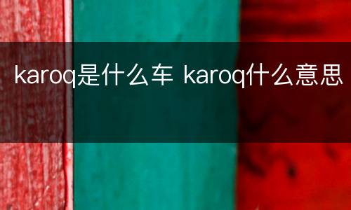 karoq是什么车 karoq什么意思