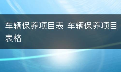 车辆保养项目表 车辆保养项目表格