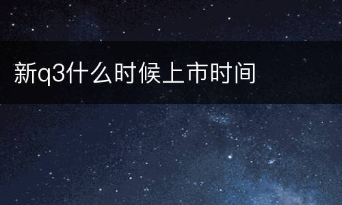 新q3什么时候上市时间
