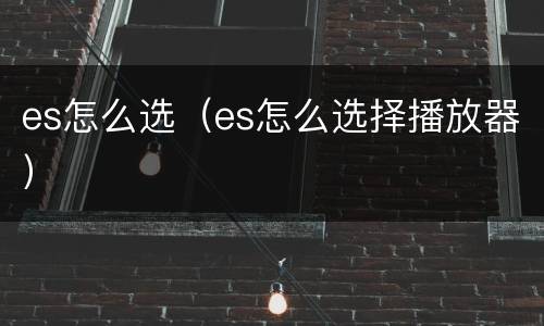 es怎么选（es怎么选择播放器）