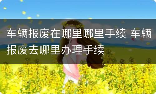 车辆报废在哪里哪里手续 车辆报废去哪里办理手续