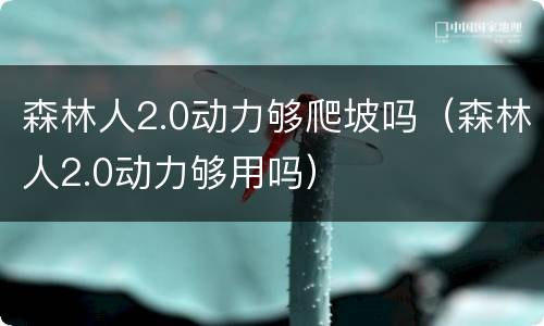 森林人2.0动力够爬坡吗（森林人2.0动力够用吗）