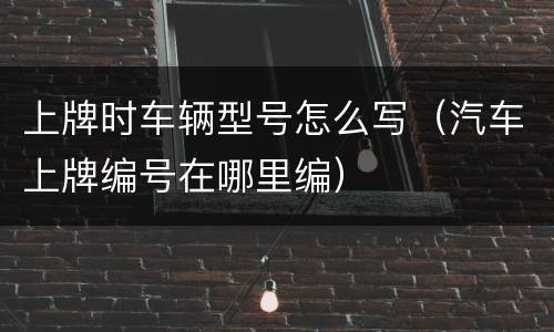 上牌时车辆型号怎么写（汽车上牌编号在哪里编）
