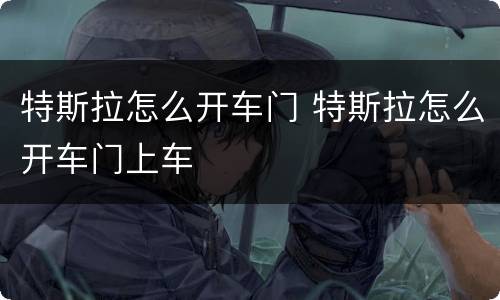 特斯拉怎么开车门 特斯拉怎么开车门上车
