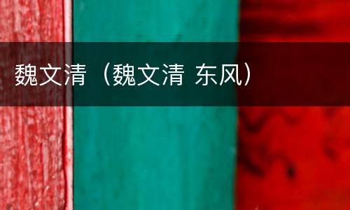 魏文清（魏文清 东风）