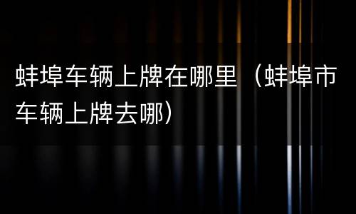 蚌埠车辆上牌在哪里（蚌埠市车辆上牌去哪）