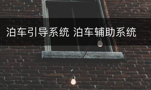 泊车引导系统 泊车辅助系统