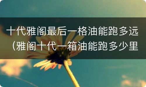 十代雅阁最后一格油能跑多远（雅阁十代一箱油能跑多少里）