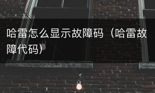 哈雷怎么显示故障码（哈雷故障代码）