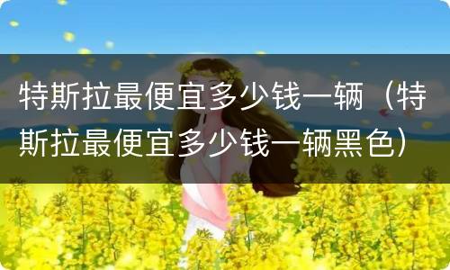 特斯拉最便宜多少钱一辆（特斯拉最便宜多少钱一辆黑色）