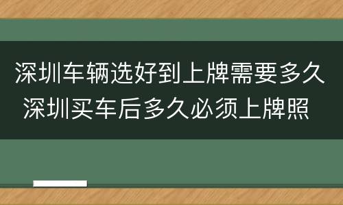 深圳车辆选好到上牌需要多久 深圳买车后多久必须上牌照