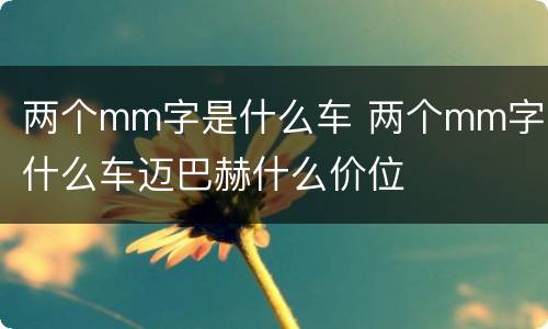 两个mm字是什么车 两个mm字是什么车迈巴赫什么价位