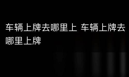 车辆上牌去哪里上 车辆上牌去哪里上牌