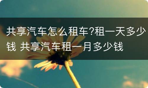 共享汽车怎么租车?租一天多少钱 共享汽车租一月多少钱