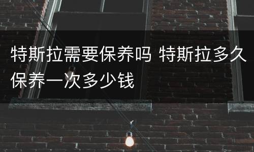 特斯拉需要保养吗 特斯拉多久保养一次多少钱