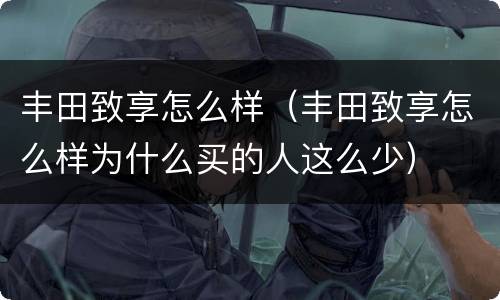 丰田致享怎么样（丰田致享怎么样为什么买的人这么少）