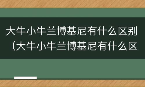 大牛小牛兰博基尼有什么区别（大牛小牛兰博基尼有什么区别外观）