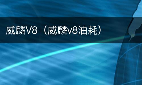 威麟V8（威麟v8油耗）