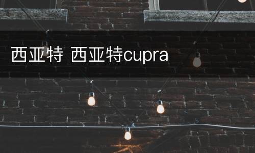 西亚特 西亚特cupra