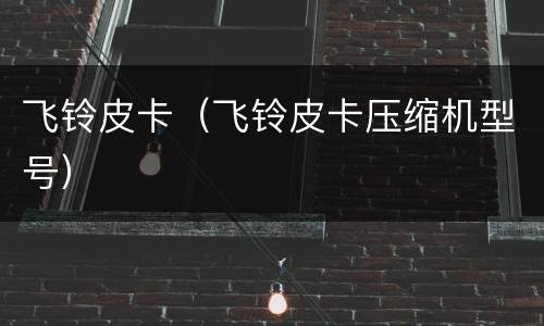 飞铃皮卡（飞铃皮卡压缩机型号）