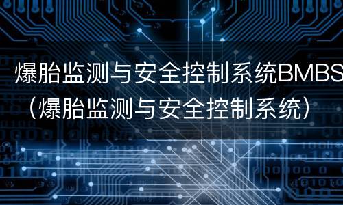 爆胎监测与安全控制系统BMBS（爆胎监测与安全控制系统）